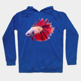 Betta Fish Hoodie